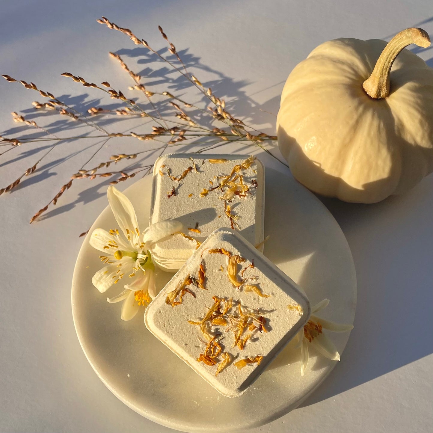 Pomander Botanical Shower Steamers - Orange Clove
